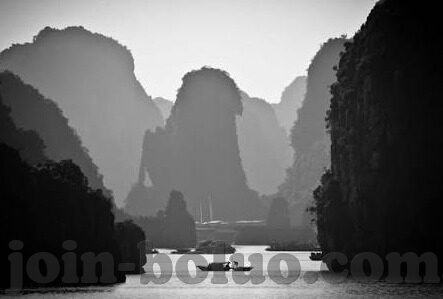 大象传媒破解永久免费-破解大象传媒的永久免费之谜