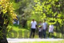 大象传媒视频网站直播-大象传媒，视频网站直播的革新力量