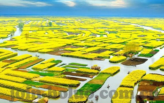 大象视频传媒-大象视频传媒，重塑娱乐与信息传播的巨象