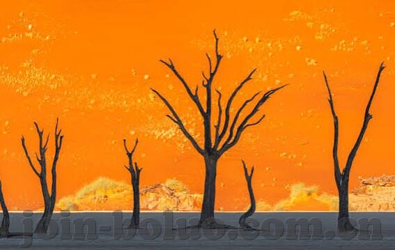 伦理三级-伦理的深度探索，从一级到三级的跨越