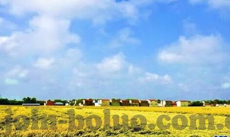 麻豆果冻传媒原创视频-麻豆果冻传媒，原创视频的魅力与影响