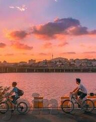 麻豆经纪app-麻豆经纪app，数字时代的时尚新舞台