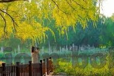 糖心app免费版直播-体验沉浸式娱乐新境界——解锁糖心APP免费版直播的无限精彩